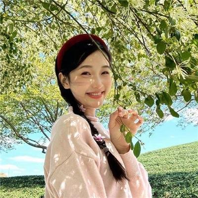 羊群
